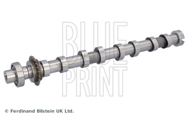 Blue Print Nokkenas ADBP610408