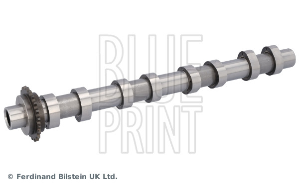 Blue Print Nokkenas ADBP610409