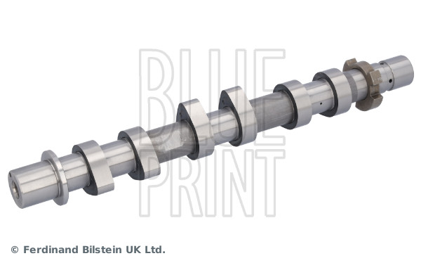 Blue Print Nokkenas ADBP610441