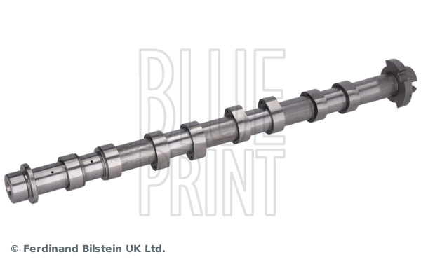 Blue Print Nokkenas ADBP610475