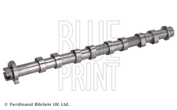 Blue Print Nokkenas ADBP610475