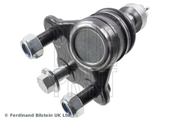 Blue Print Fuseekogel ADBP860172