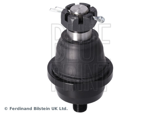 Blue Print Fuseekogel ADBP860236