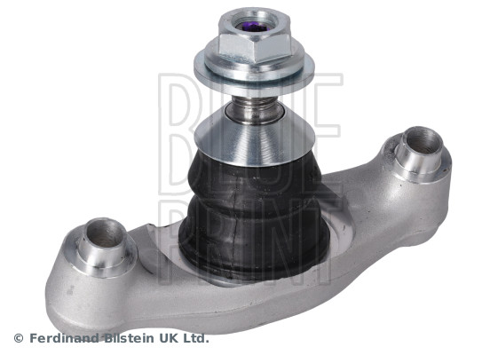 Blue Print Fuseekogel ADBP860254