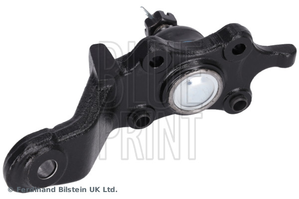 Blue Print Fuseekogel ADBP860284