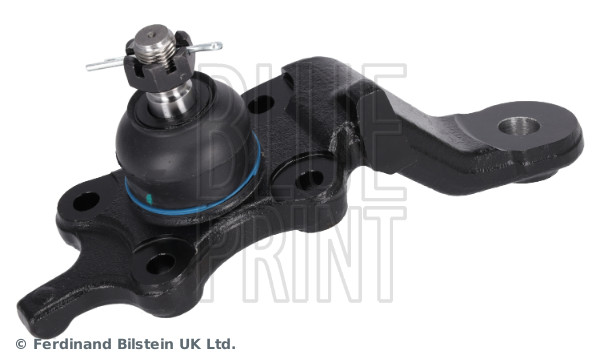 Blue Print Fuseekogel ADBP860285