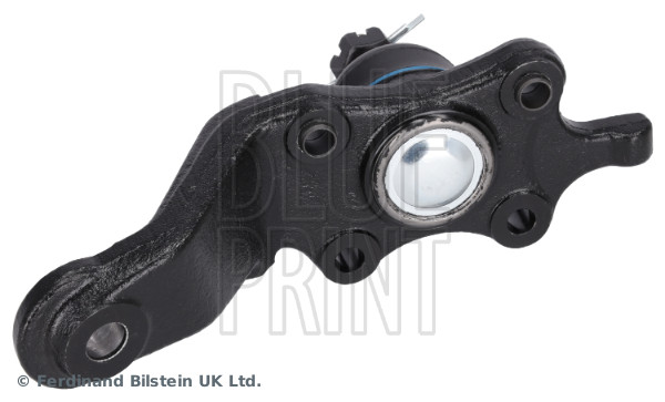 Blue Print Fuseekogel ADBP860285