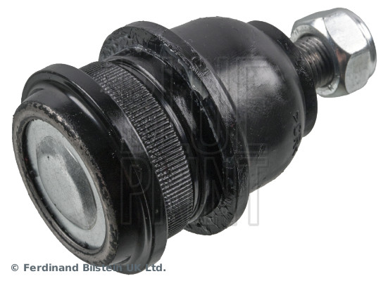 Blue Print Fuseekogel ADG08636