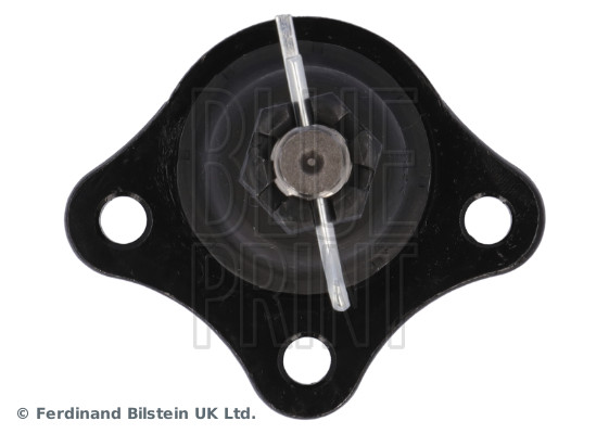 Blue Print Fuseekogel ADG08641