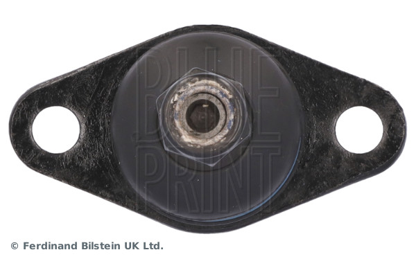 Blue Print Fuseekogel ADG08665