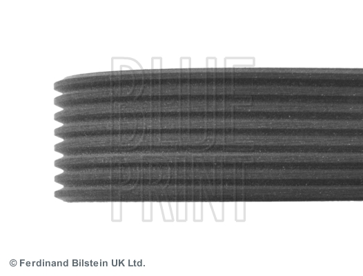 Blue Print Poly V-riem ADM59626