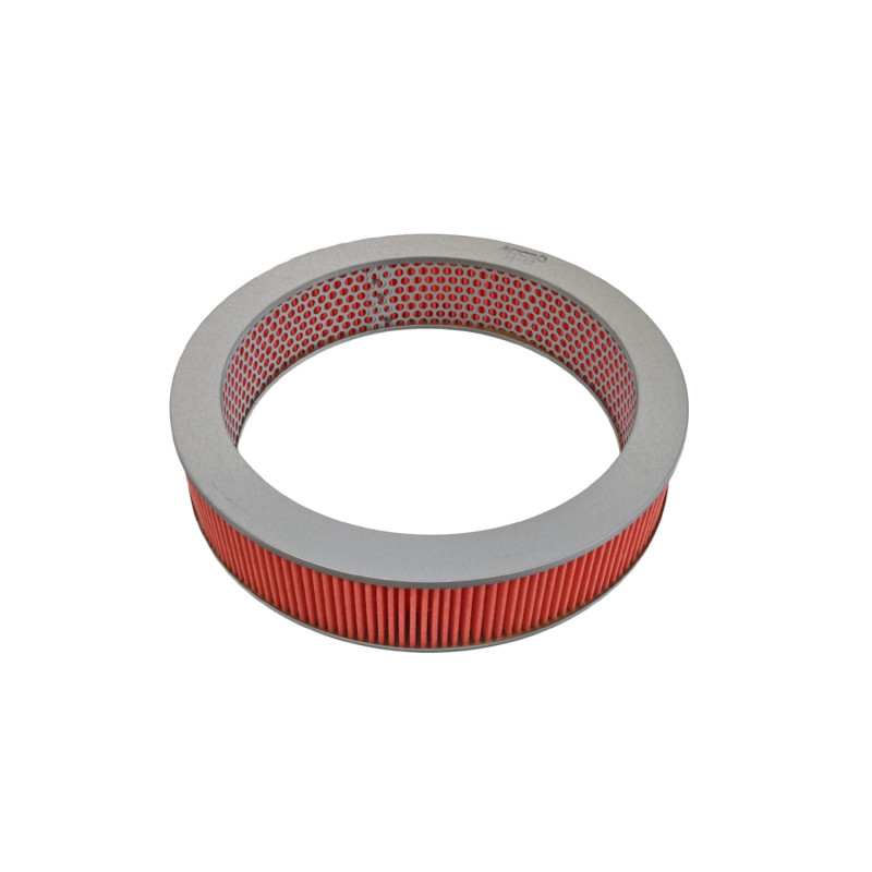 Luchtfilter Blue Print ADN12202