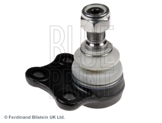 Blue Print Fuseekogel ADN186110