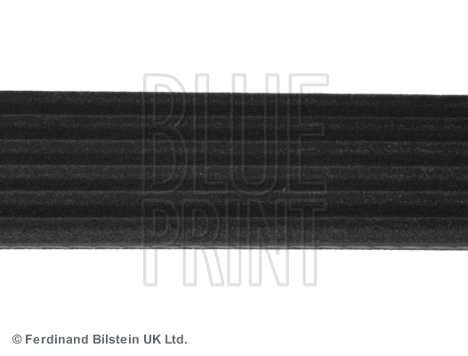 Blue Print Poly V-riem ADN19651