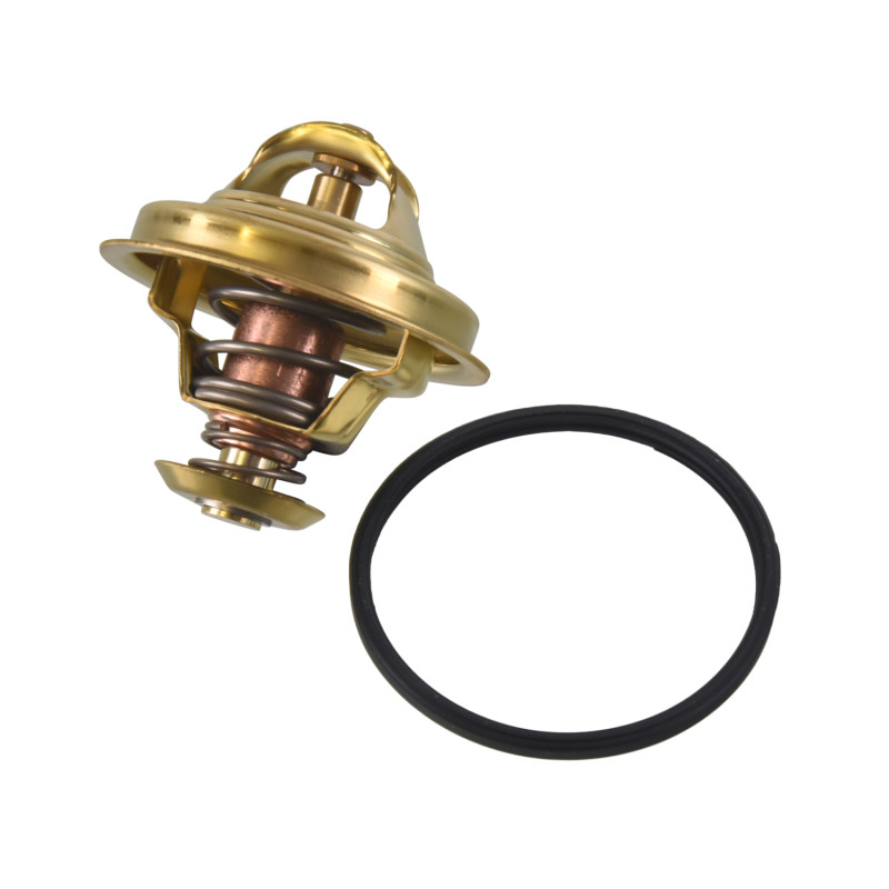 Thermostaat Blue Print ADT39202