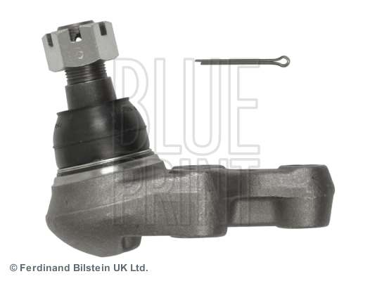 Blue Print Fuseekogel ADZ98617