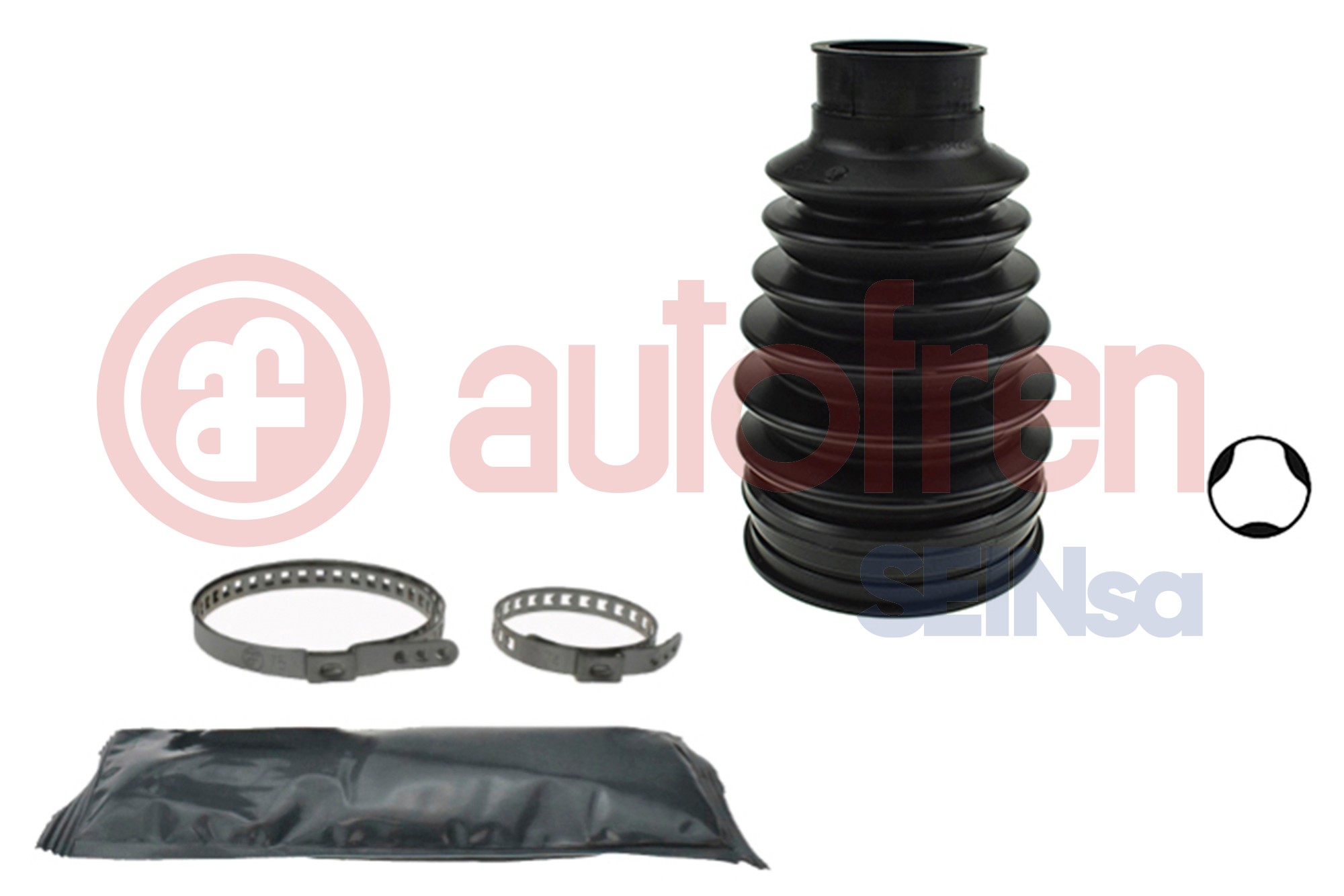 Asmanchetten set Autofren Seinsa D8721T