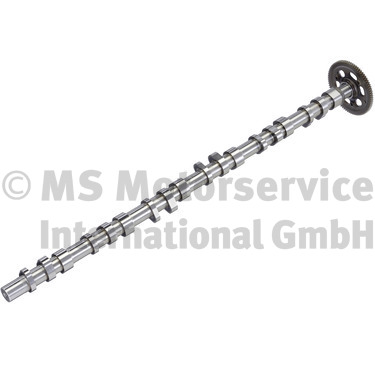 Nokkenas BF 20100347107