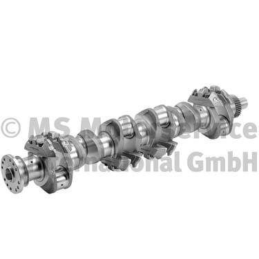 Krukas BF 20050335501