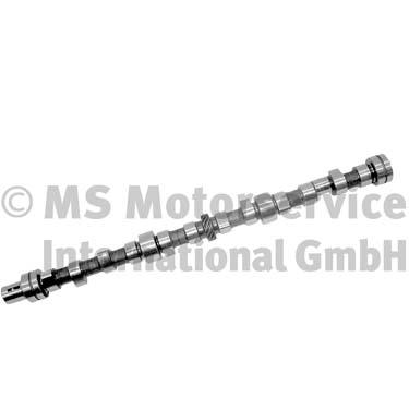 Nokkenas BF 20100335202