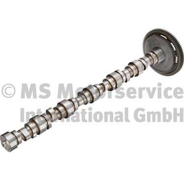 Nokkenas BF 20100345701