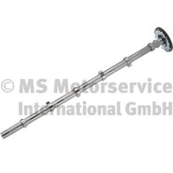 Nokkenas BF 20100347101