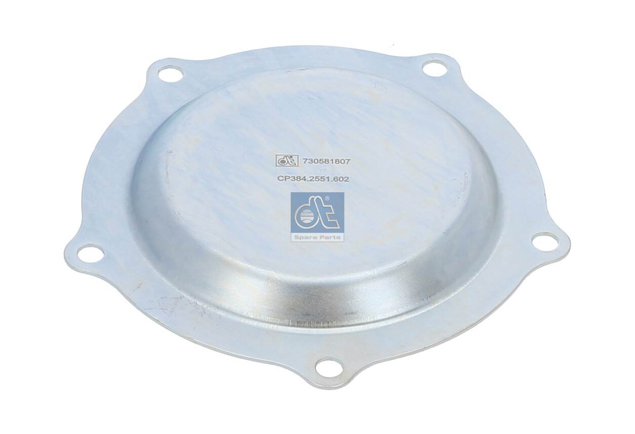 Dt Spare Parts Wielnaaf afdekplaat 10.20602SP