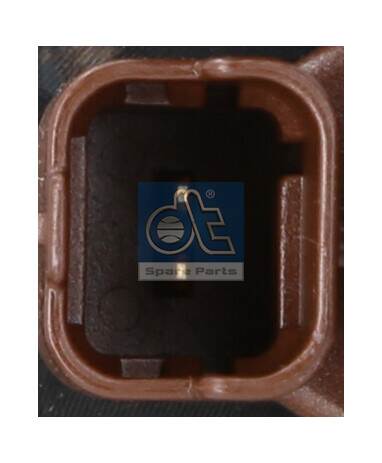 Dt Spare Parts Brandstofpomp (Verdelerpomp) 13.43052