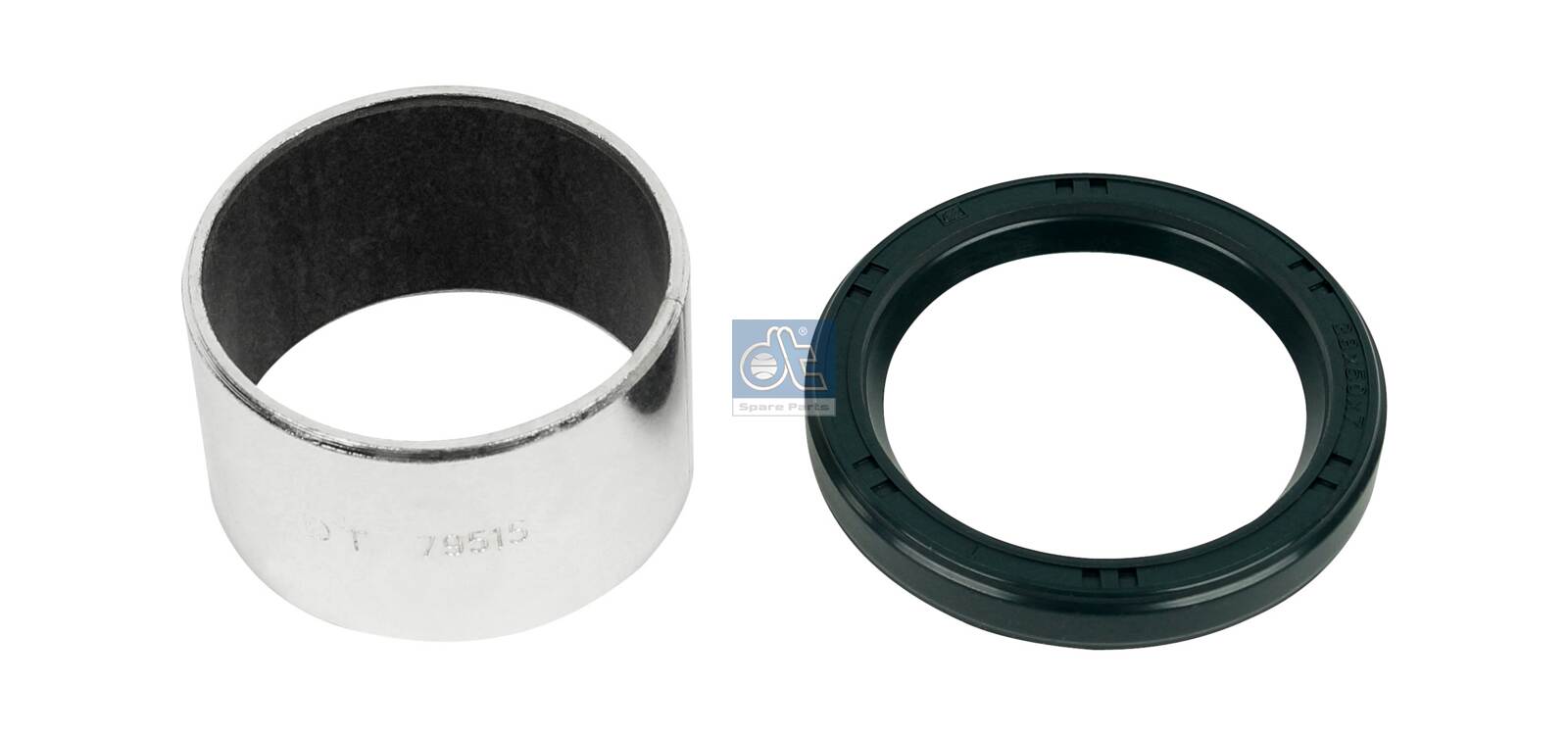 Dt Spare Parts Remklauw revisie 1.31882