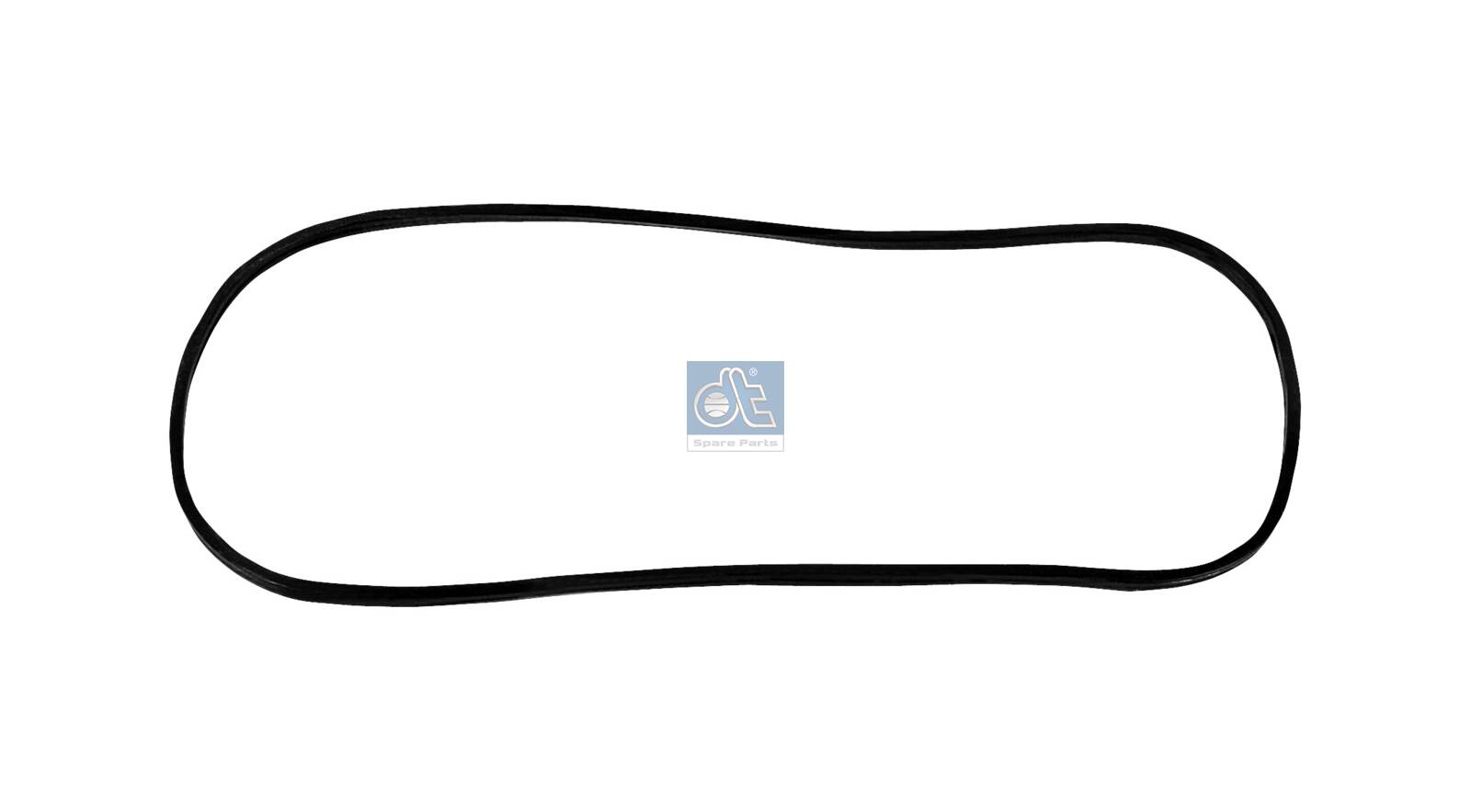 Dt Spare Parts Krukasomkasting afdichting 2.10263