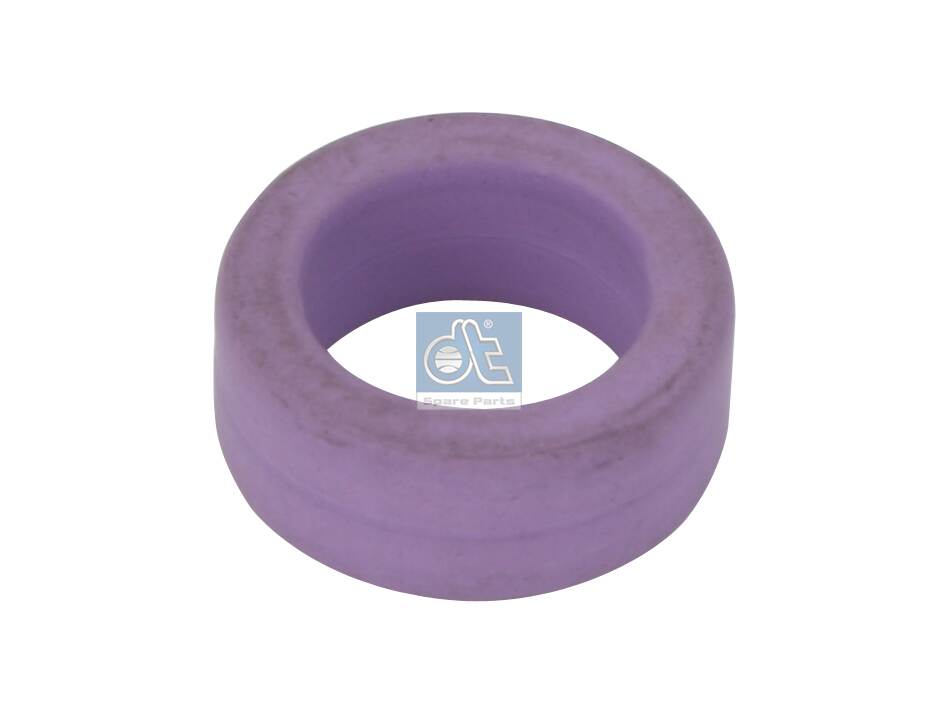 Dt Spare Parts Oliepomp pakking 2.11066