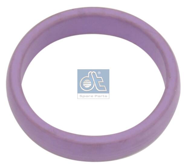 Dt Spare Parts Oliefilterhuis pakking / O-ring 2.11437