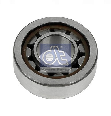 Dt Spare Parts Wiellager 3.50054