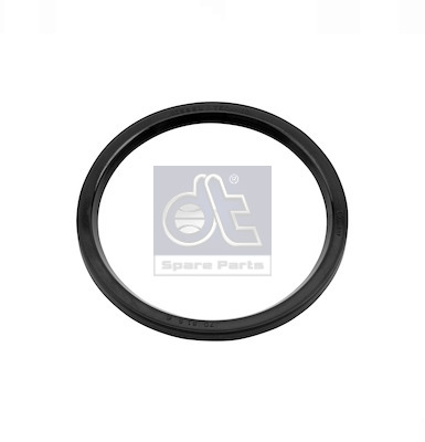 Dt Spare Parts Wielnaaf keerring 4.20324