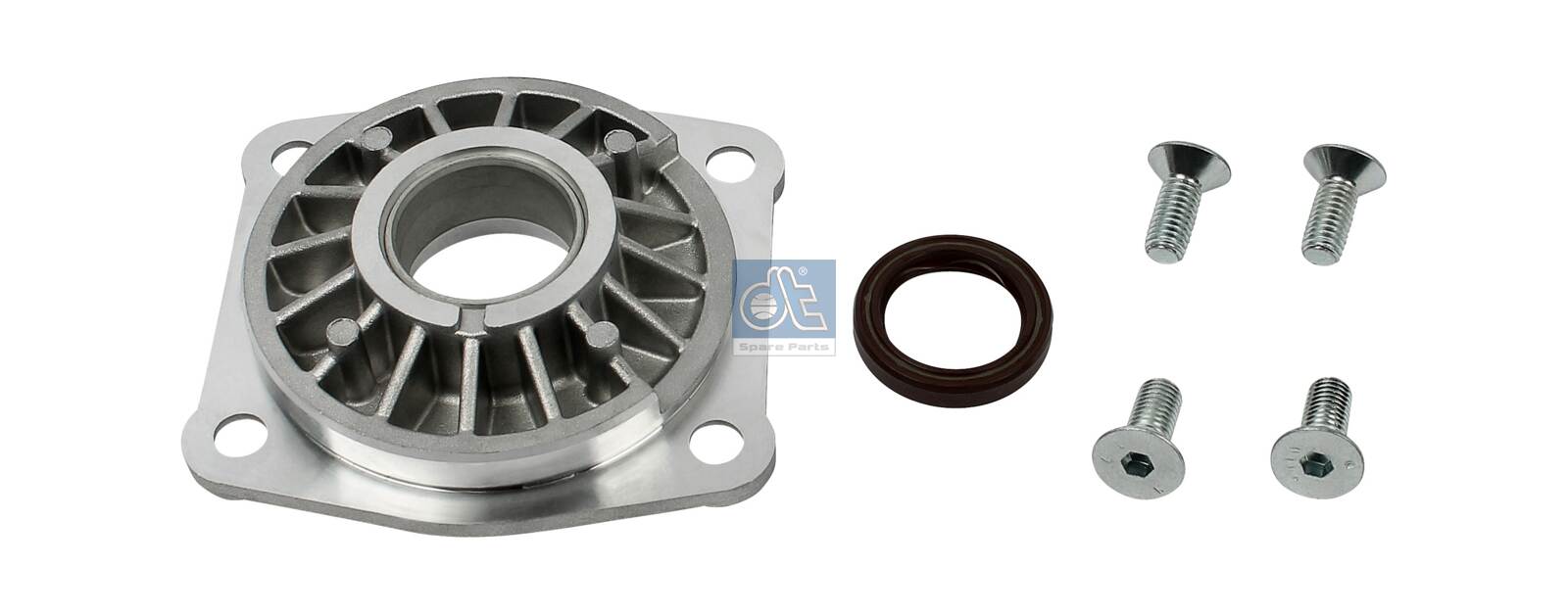 Dt Spare Parts Reiniger / verdunner 4.66733