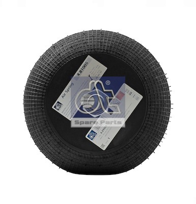 Dt Spare Parts Veerbalg 4.81005