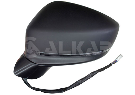 Buitenspiegel Alkar 6125738