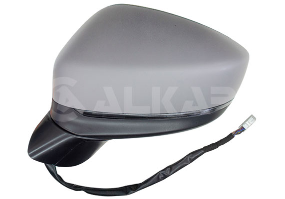 Buitenspiegel Alkar 6145738