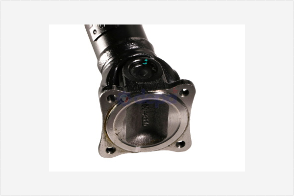 Depa Aandrijfas 4200894