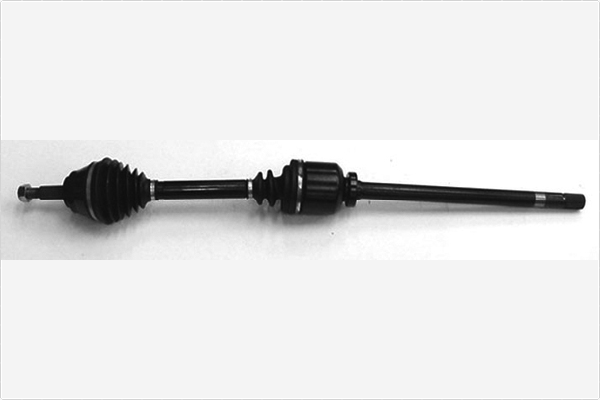 Depa Aandrijfas 3023600