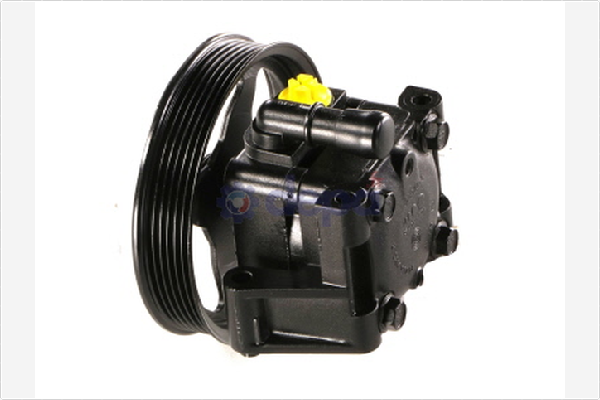 Depa Servopomp PA013