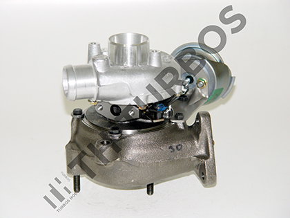 Turboshoet Turbolader 1100184