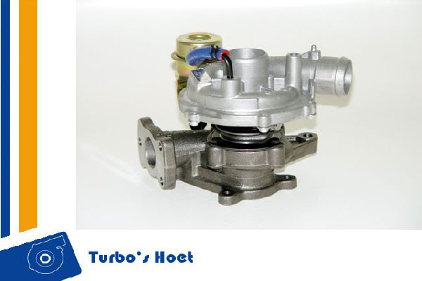 Turboshoet Turbolader 1100067
