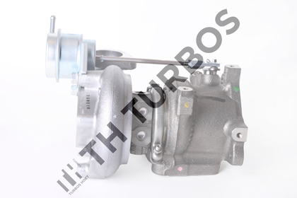 Turboshoet Turbolader 2100960