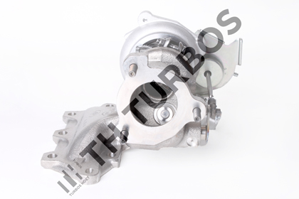 Turboshoet Turbolader 2101019
