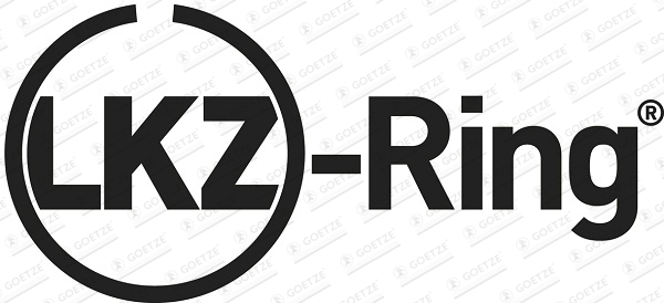 Goetze Engine Zuigerveren 08-431000-00