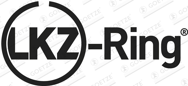 Goetze Engine Zuigerveren 08-444600-00