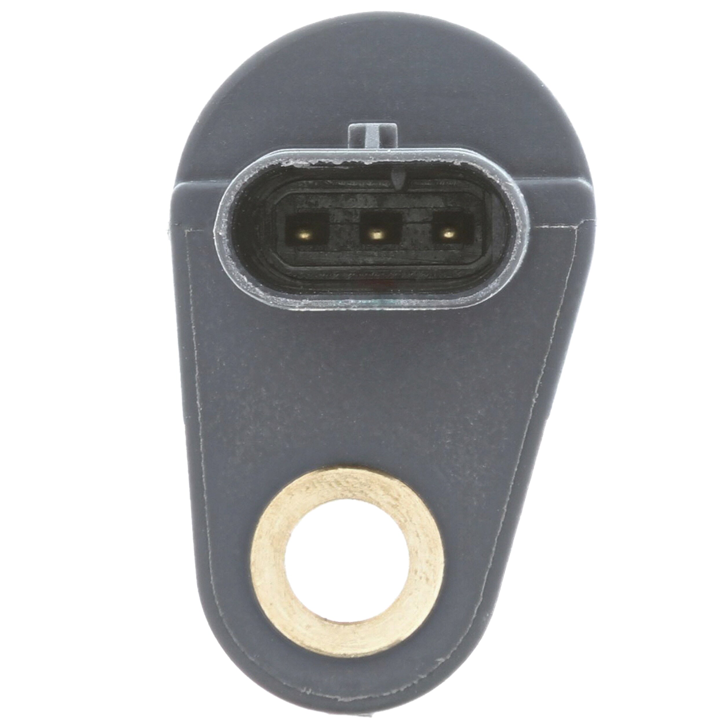 Motorad Nokkenas positiesensor 1CS238