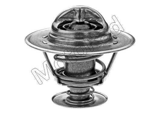 Thermostaat Motorad 229-82