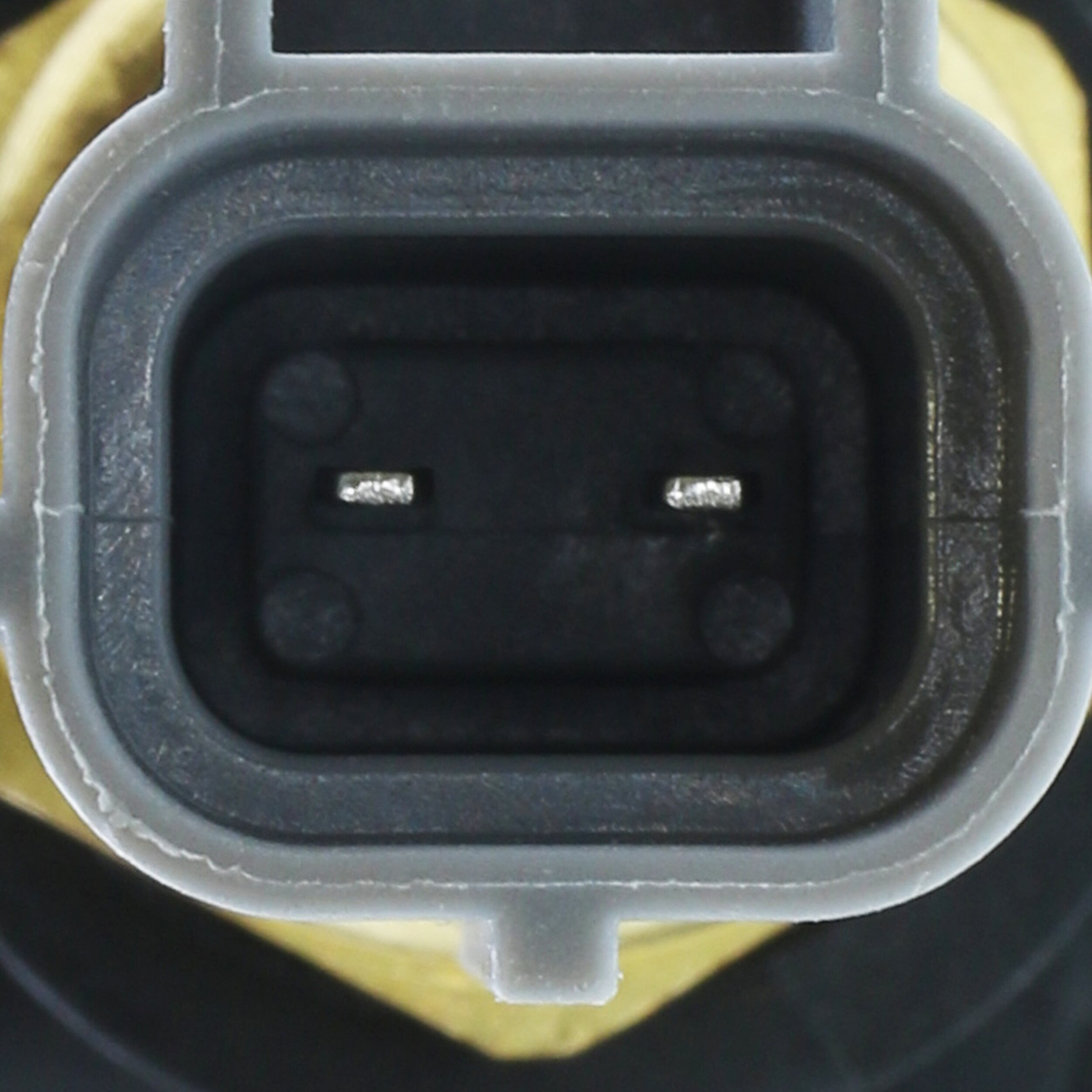 Motorad Koelvloeistofflens CH2690